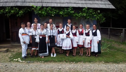 Elevi harghiteni la „Olimpiada de Meșteșuguri Artistice Tradiționale”,  Sibiu, 2016