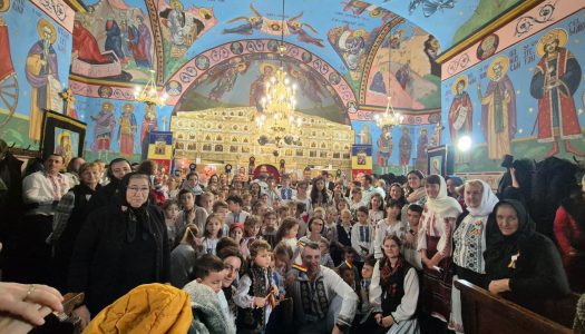 Activități filantropice