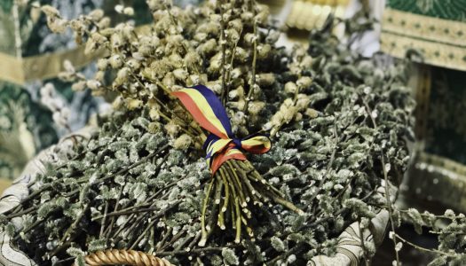 Intrarea în Ierusalim, drum spre Înviere.