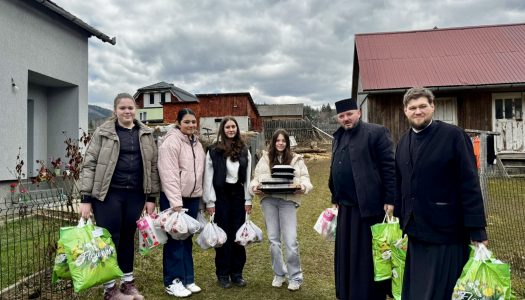 Activități filantropice