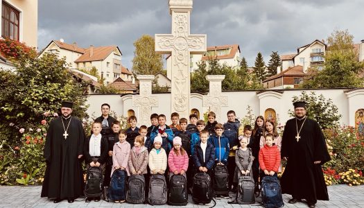 Prevenirea abandonului școlar